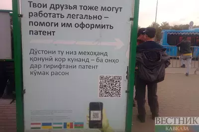 Канал незаконной миграции перекрыли на Ставрополье